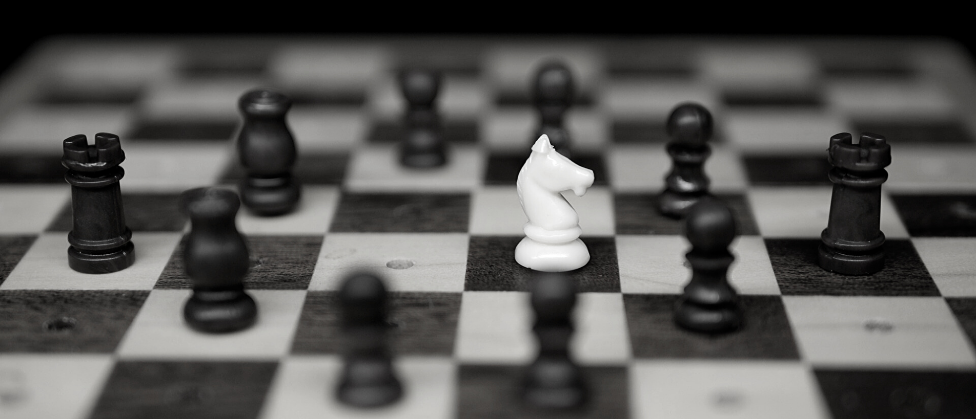 Palomo + Palomo - No solo servicios jurídicos, soluciones